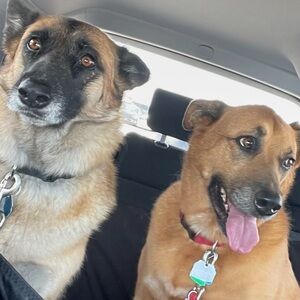 Meet your Posher, Victoria